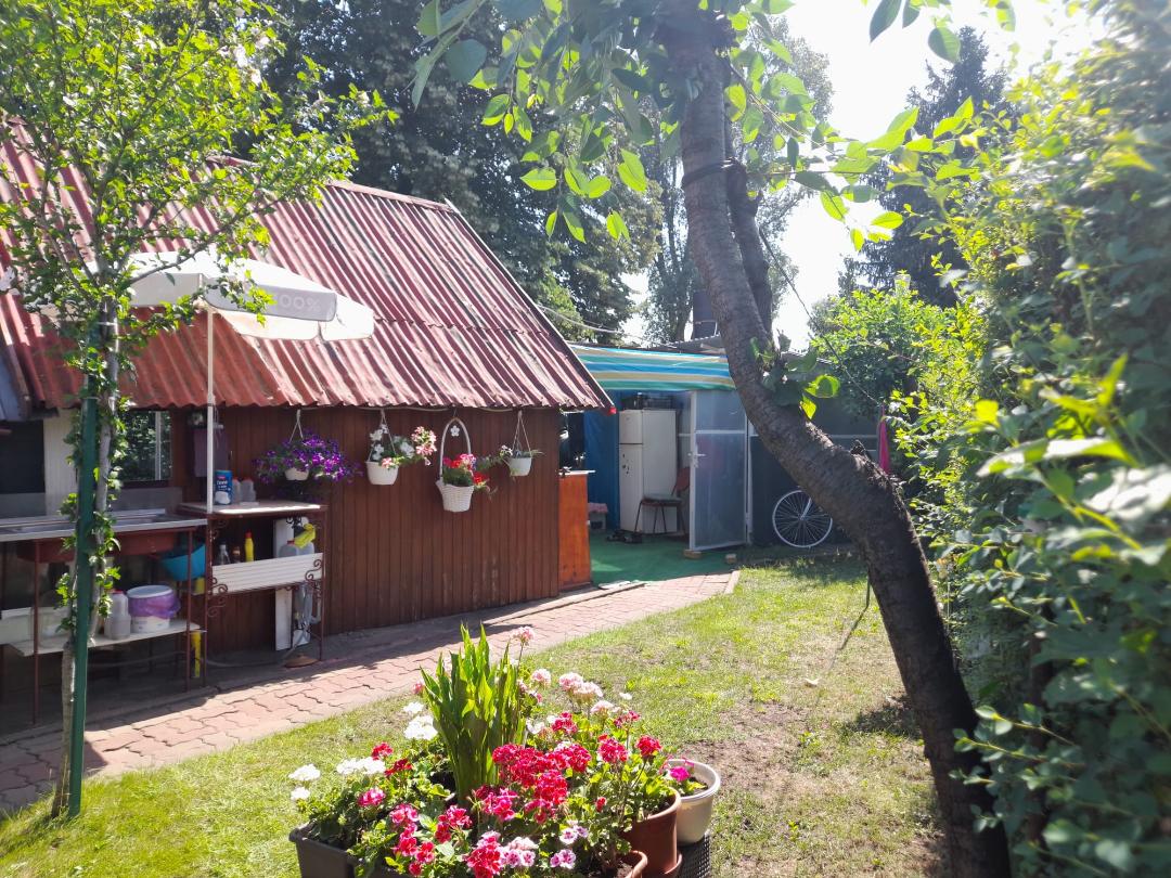 Canicula îi mută pe arădeni din apartamente în căsuțele de pe Ștrandul Neptun