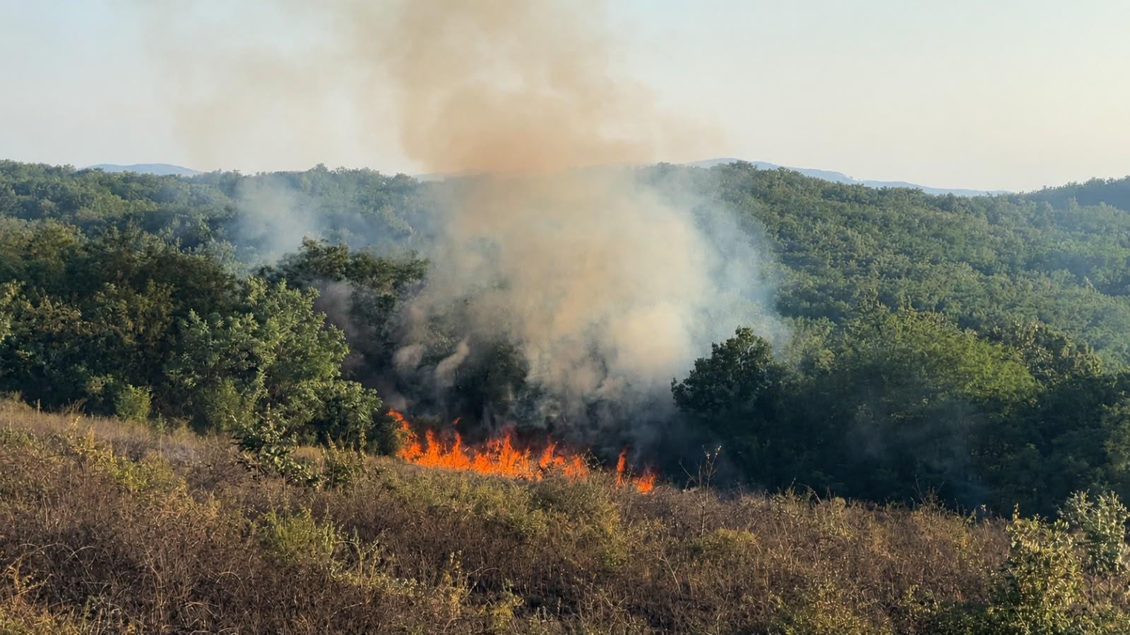 Incendiu la un lan de grâu în extravilanul municipiului Arad. Pompierii intervin pentru limitarea flăcărilor