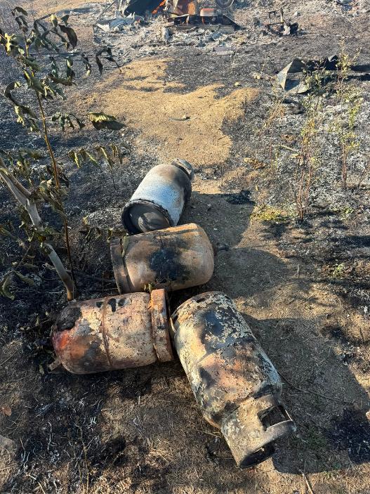 Incendiu violent în zona străzii Cometei din Arad. Flăcările au cuprins trei hectare de vegetație și o rulotă