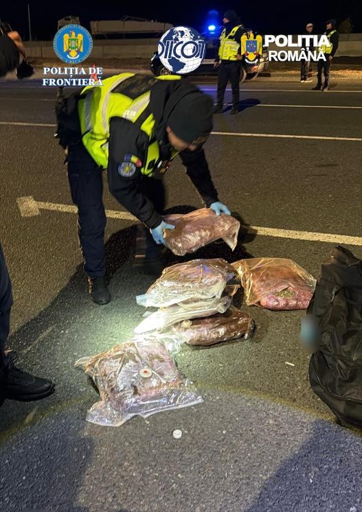 Peste 7 kilograme de canabis, descoperite la Nădlac. Tânăr de 21 de ani, cercetat pentru trafic de droguri VIDEO